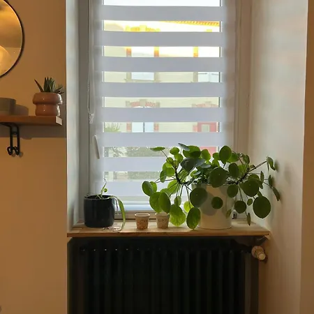 بيت للعطل Maison De 